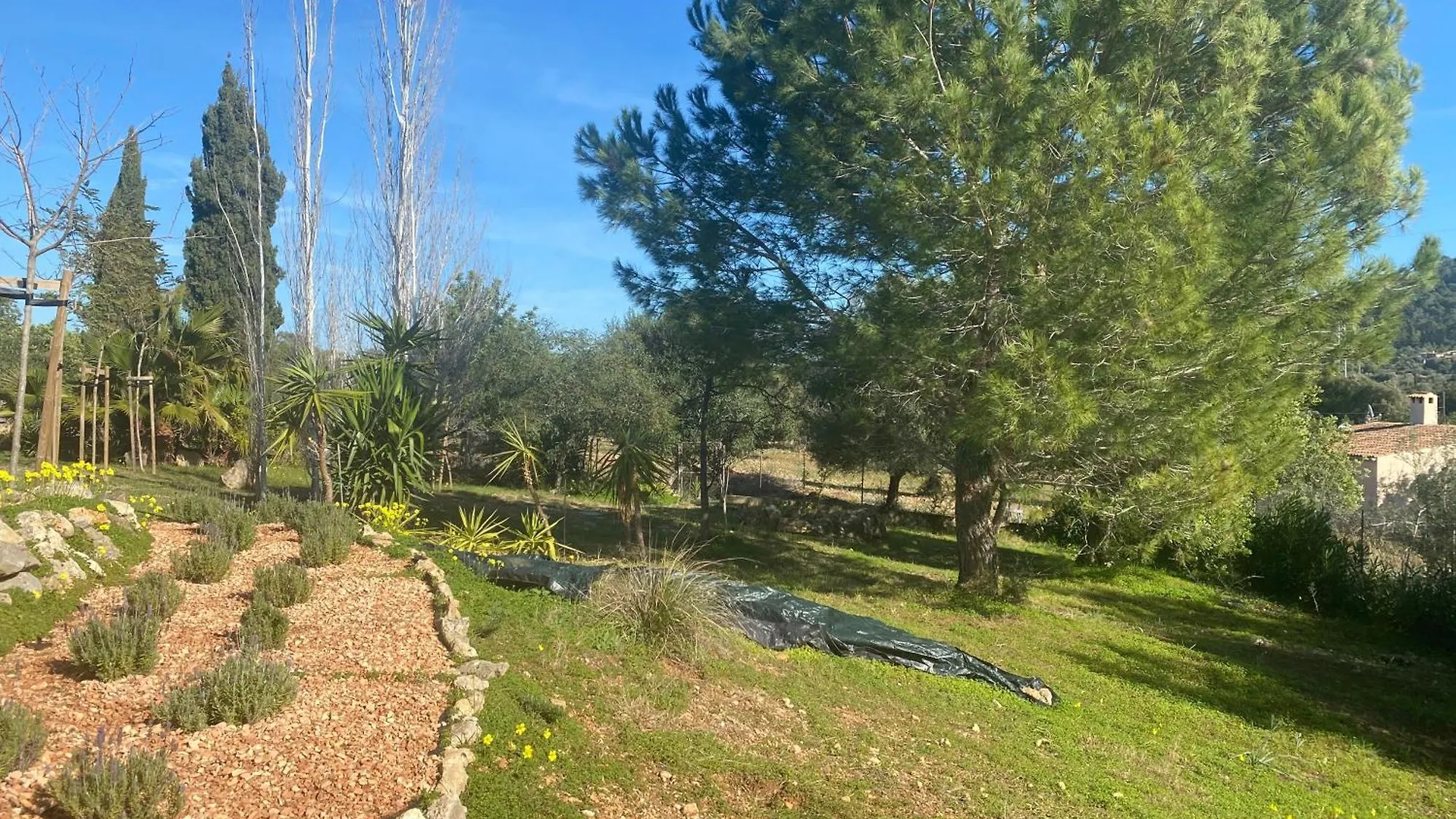 Villa Aires Del Tomir à Inca   Inca (Mallorca)